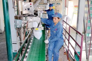 喜訊 精河鹽化公司榮獲國家高新技術(shù)企業(yè)稱號